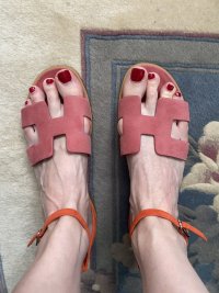 IMG_6955.jpeg