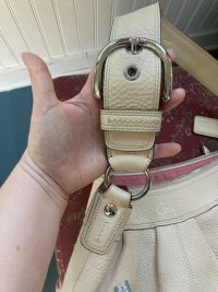IMG_8867.jpeg