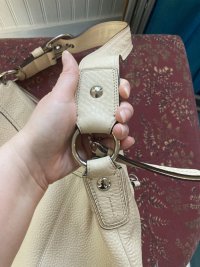 IMG_8868.jpeg