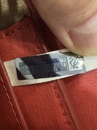 IMG_8375.jpeg