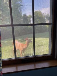 IMG_2507.jpeg