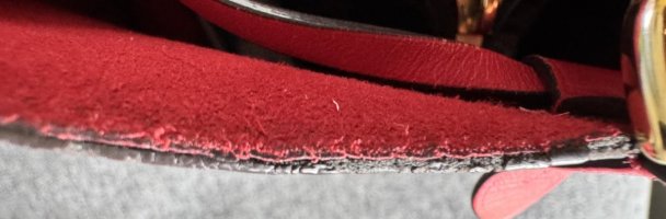 IMG_8022.jpeg