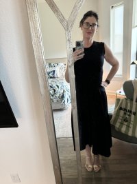 FRAME Dress.jpg