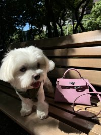 IMG_3609.jpeg