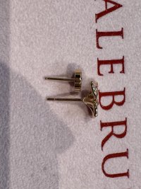 IMG_3101.jpeg