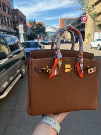 Birkin 25.jpg