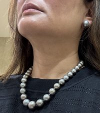 IMG_8130.jpeg