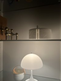 IMG_2323.jpeg