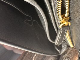 IMG_1027.jpeg