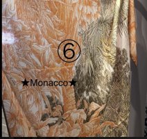 IMG_9487.jpeg