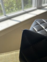 IMG_8098.jpeg