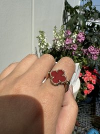 IMG_2539.jpeg