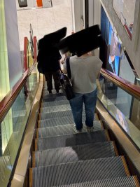 IMG_4339.jpeg