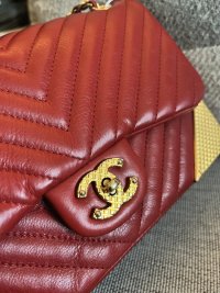 IMG_2090.jpeg