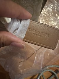 IMG_6690.jpeg