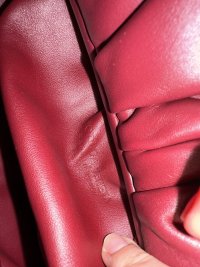 IMG_8969.jpeg