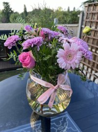IMG_3745.jpeg IMG_3745.jpeg