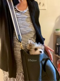 IMG_1773.jpeg