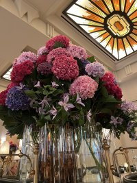 IMG_3800.jpeg