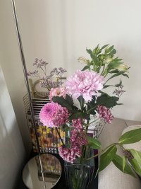 IMG_3846.jpeg