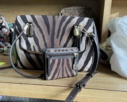 Zebra Brown Coach 3.jpg