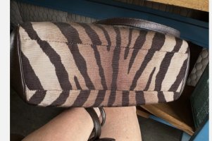 Zebra Brown Coach 4.jpg