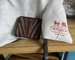 Zebra Brown Coach 5.jpg