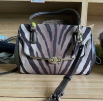 Zebra Brown Coach.jpg