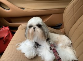 IMG_0104.jpeg