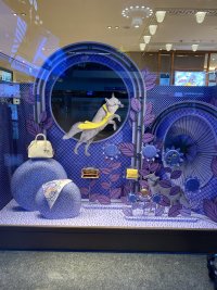 IMG_8032.jpeg