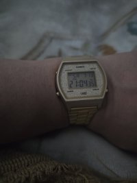 20240713_210019.jpg