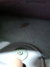 IMG20240812001321.jpg