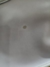 IMG20240812001112.jpg
