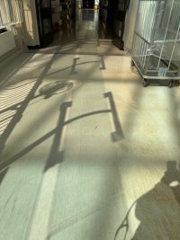 IMG_1884.jpeg
