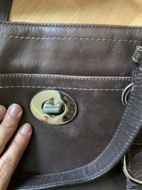 IMG_2803.jpeg