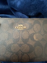 IMG_1620.jpeg