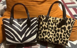 IMG_6444.jpeg