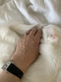 IMG_3989.jpeg