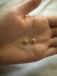 IMG_0487.jpeg