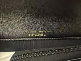 IMG_2259.jpeg
