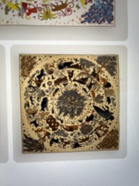 IMG_5313.jpeg