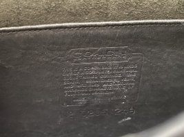 IMG_3805.jpeg