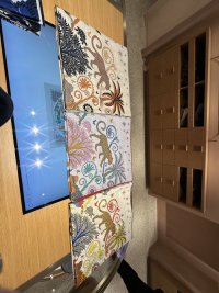 IMG_4482.jpeg