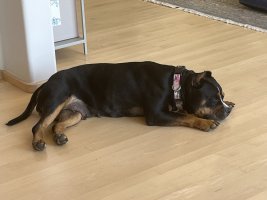 IMG_6687.jpeg