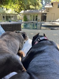 IMG_6636.jpeg