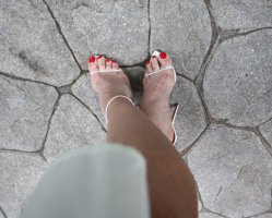IMG_3542.JPG