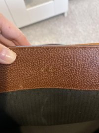 IMG_2213.jpeg
