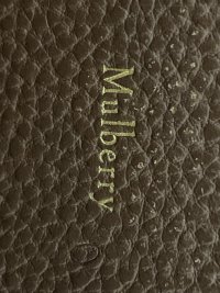 IMG_2221.jpeg