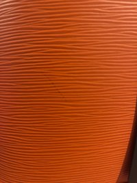 IMG_6549.jpeg