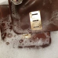 Hasp Bag Dunk.jpg